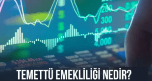 Temettü Emekliliği ile Finansal Özgürlük